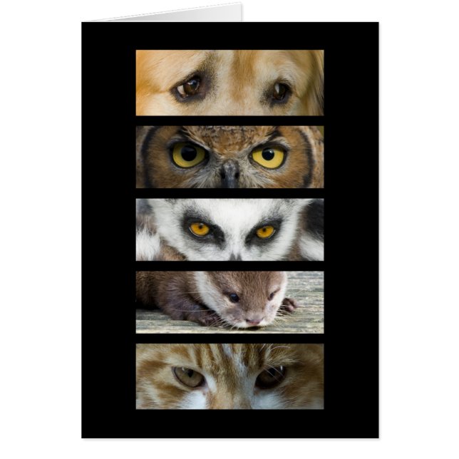 カード-動物の目 (正面)