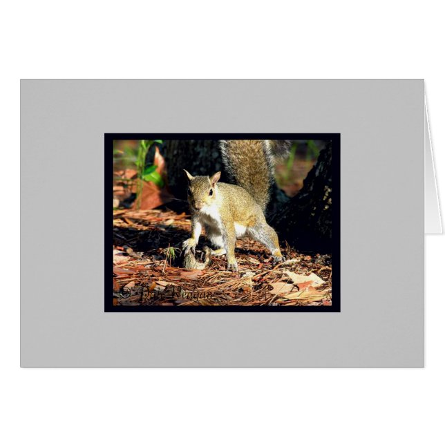 カード-得られたナットか。 (正面横)