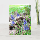 カード – 復活祭の花 (正面)