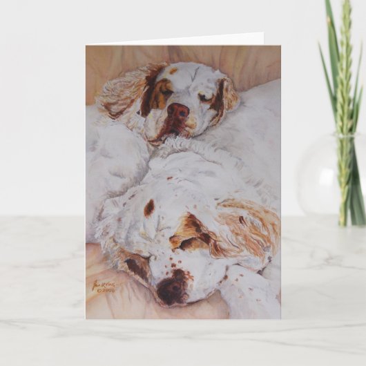カード-心地よい- 2匹のClumberスパニエル犬 カード (正面)