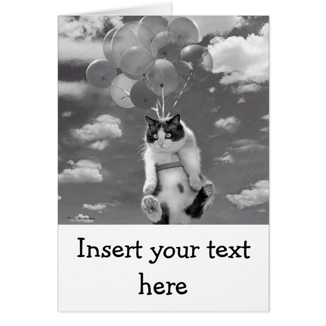 カード: 気球とのおもしろいな猫の飛行 (正面)