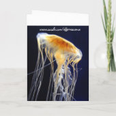 カード-漂うレース カード (裏面)