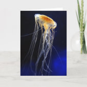 カード-漂うレース カード (正面)