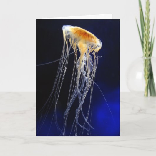 カード-漂うレース カード (正面)