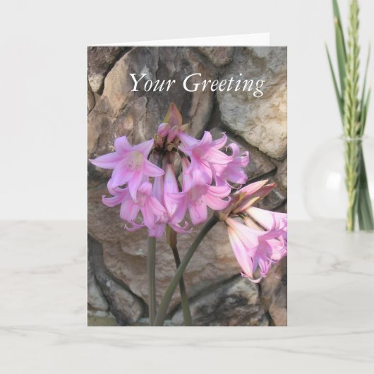 カード – -空白のピンクレディース (正面)