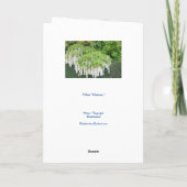 カード/美しい/藤/庭園/自然/白い花 カード (裏面)