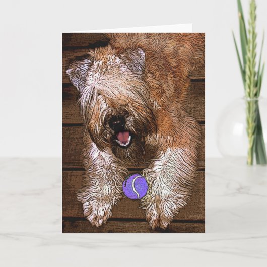 カード: "遊びたいと思って下さいか。" シーズンカード (正面)