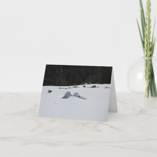 カード-雪の漂流のadirondackの椅子 シーズンカード (正面)