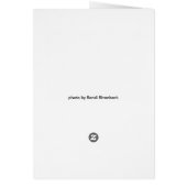 カード – 黒い目のサザンズ (裏面)