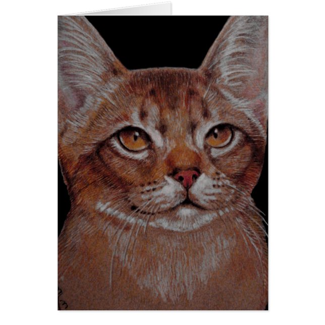 カード- Abby猫 (正面)