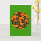 カード， "California Popies in Circle" # 4 カード (黄色い花)