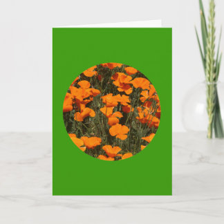 カード， "California Popies in Circle" # 4 カード