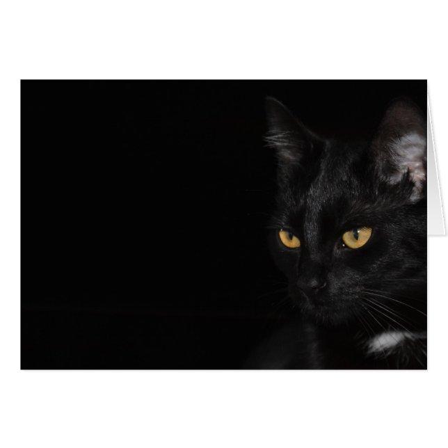 カード – Cat - Purr (正面横)