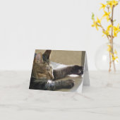 カード(CN)- Cat昼寝または2 カード (黄色い花)