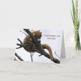 カード： Coatimundi #5 カード