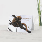 カード: Coatimundi #5 カード (正面)