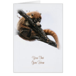 カード： Coatimundi #5 (ポートレート)