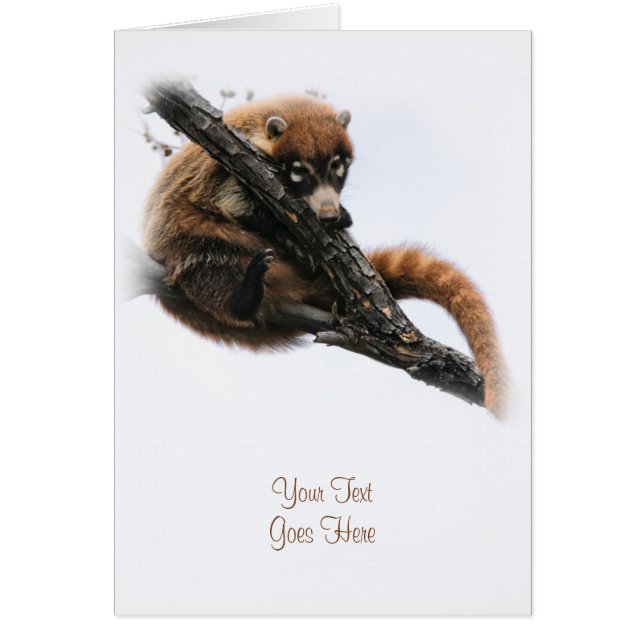 カード： Coatimundi #5 (ポートレート) (正面)