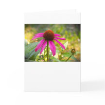 カード、Coneflower