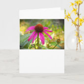 カード、Coneflower カード (黄色い花)