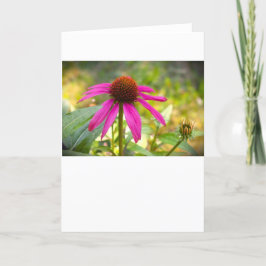 カード、Coneflower カード