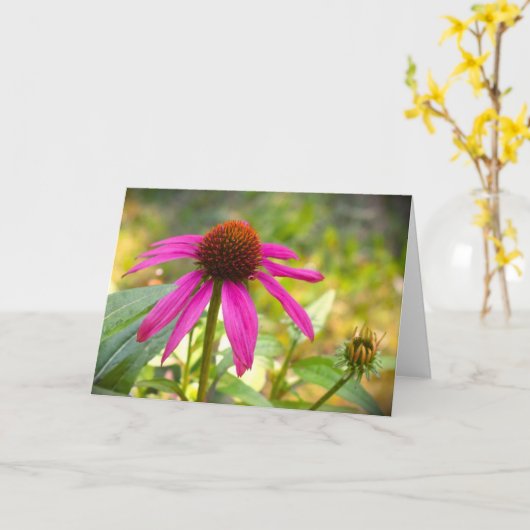 カード、Coneflower カード (黄色い花)