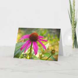 カード、Coneflower カード