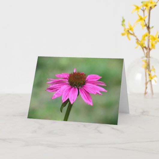 カード、Coneflower カード (黄色い花)