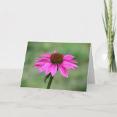 カード、Coneflower カード (正面)