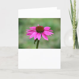 カード、Coneflower カード
