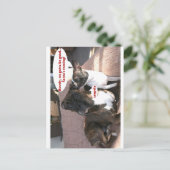 カード： Crapola ポストカード (スタンド正面)