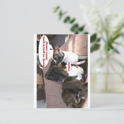 カード： Crapola ポストカード (スタンド正面)