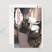 カード： Crapola ポストカード (正面/裏面)