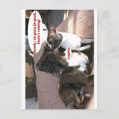 カード： Crapola ポストカード (正面)