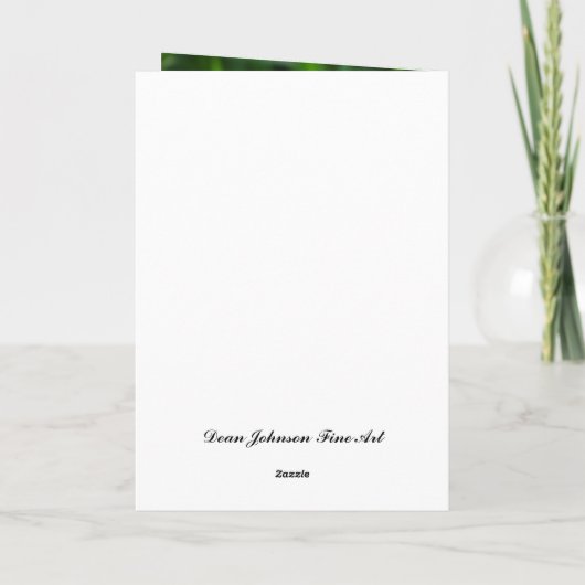 カード- Feliz Cumpleañosのmiのamor カード (裏面)