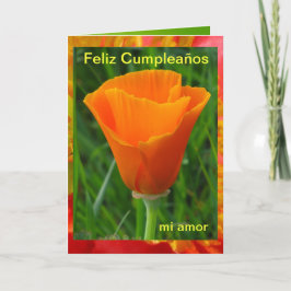 カード- Feliz Cumpleañosのmiのamor カード