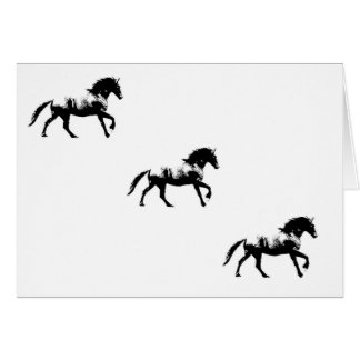 カード – Friesian Cantering
