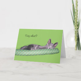 カード – Greeting – グレーの子猫