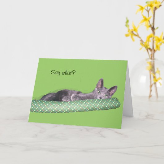 カード – Greeting – グレーの子猫 (黄色い花)