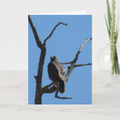 カード – Greeting - Bird of Prey (正面)