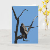 カード – Greeting - Bird of Prey (黄色い花)