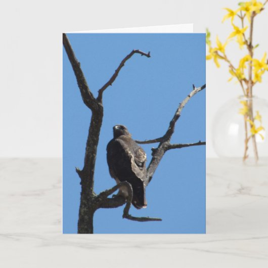 カード – Greeting - Bird of Prey (黄色い花)