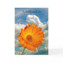 カード – greeting - Calendula on Stem