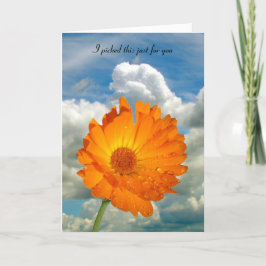 カード – greeting - Calendula on Stem