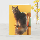 カード – greeting - Cat with yarn (黄色い花)