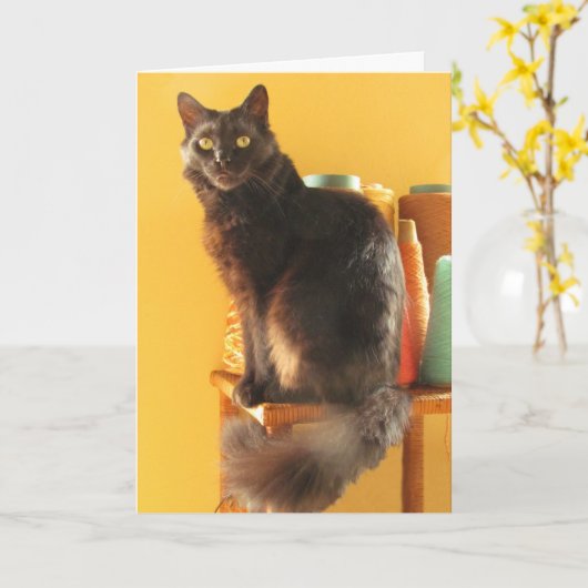 カード – greeting - Cat with yarn (黄色い花)