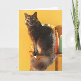 カード – greeting - Cat with yarn