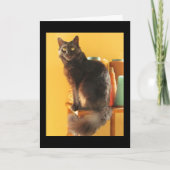 カード – Greeting - Cat with Yarn (正面)