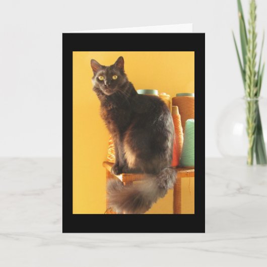 カード – Greeting - Cat with Yarn (正面)