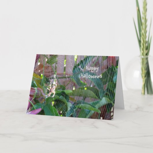 カード – Greeting - Spider onくもの巣 (正面)